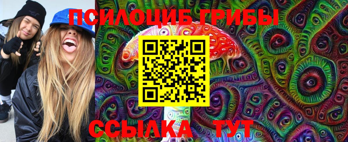 Галлюциногенные грибы прущие грибы Санкт-Петербург